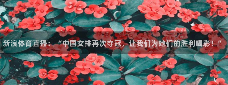 新闻图片